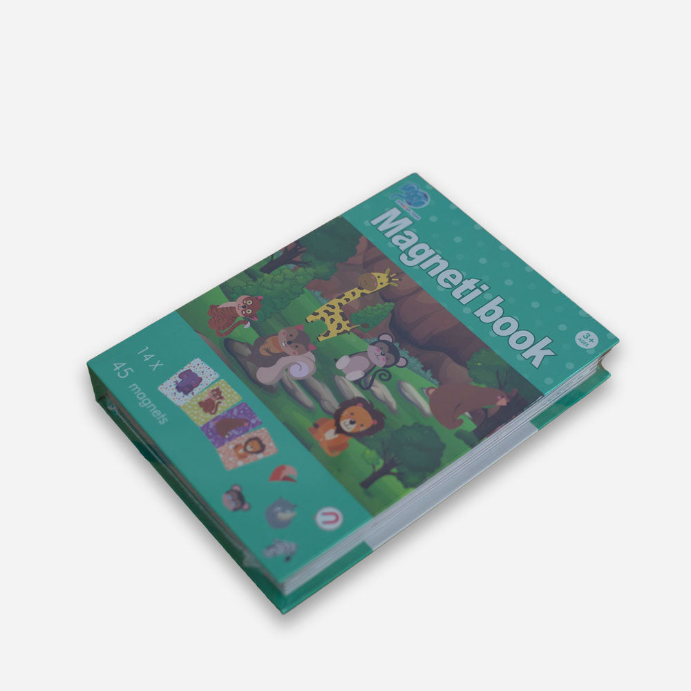 magnetibook7